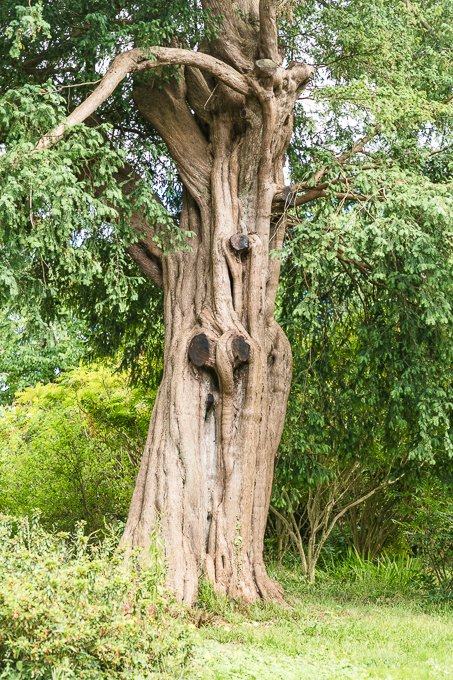 Waterford June 2018 (030)